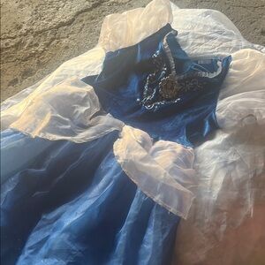 Blue and White Princess Dress
